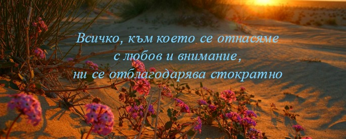 снимка: goodfon.ru